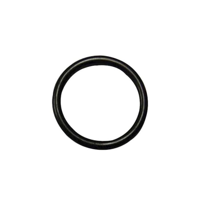 O-ring for union