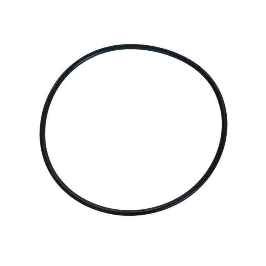 Sta-Rite Seal Plate O-Ring