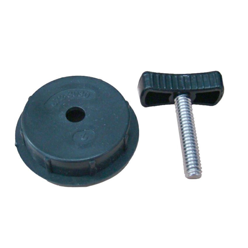 Screw and cap for spa panel