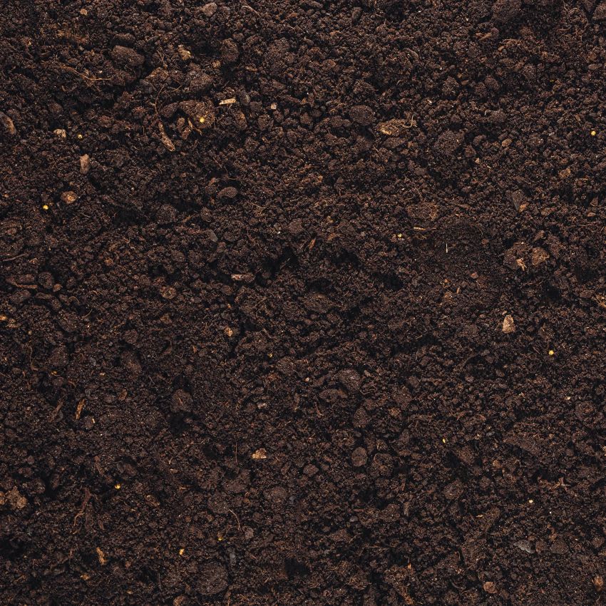 Top soil cueillette au site (18 verges)