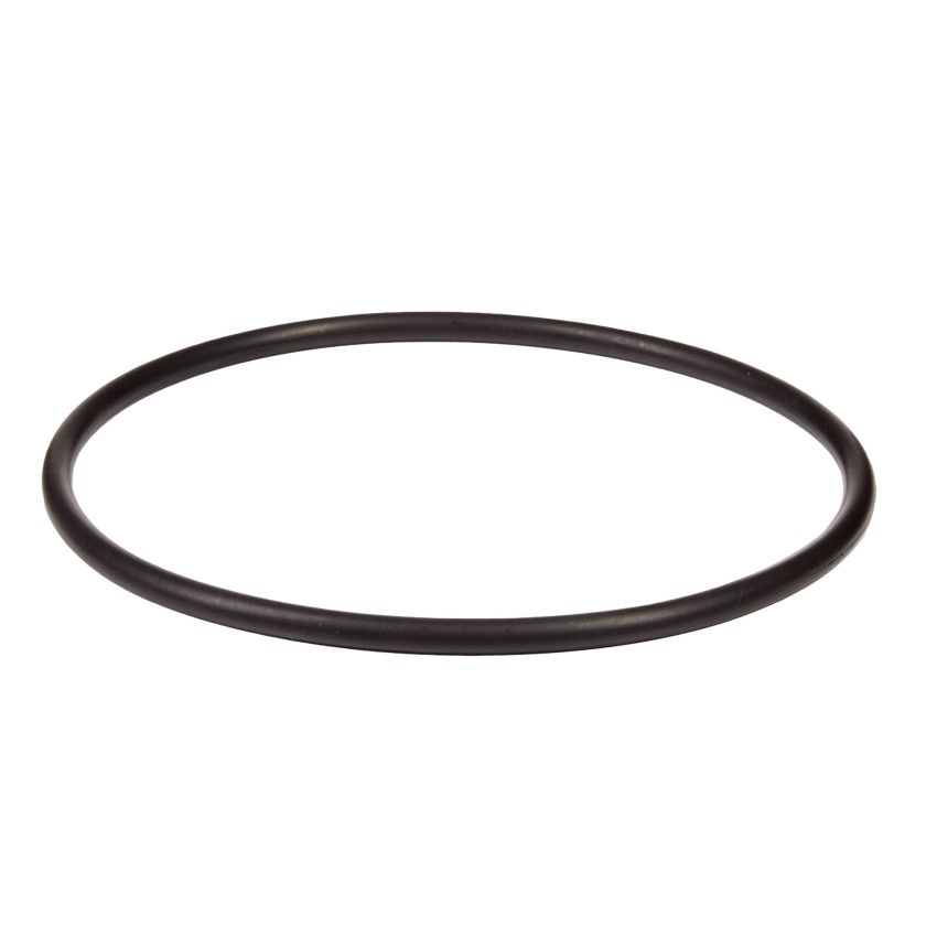 Strainer Cover O-Ring for pumps