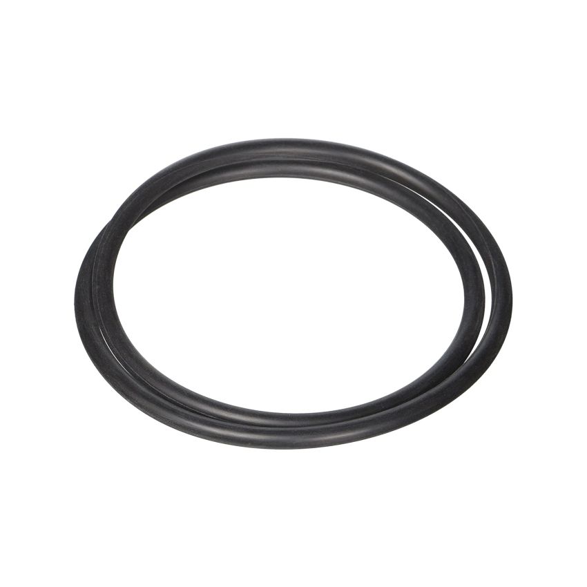 Seal Plate O-Ring for Northstar pump
